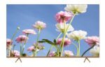 Gratus WebOS powered 4K Edgeless UHD 70" LED SMART TV with ThinQ AI image 3