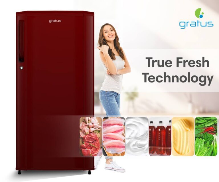 Gratus Single Door Refrigerator (Maroon color) image 12
