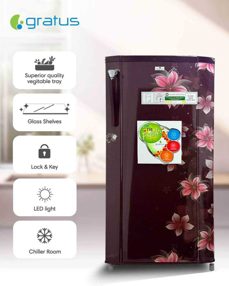 Gratus 246L Direct Cool Single Door Refrigerator – Marine Peony | GDCR246BHI image 9